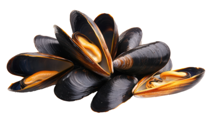 black mussels, isolated, transparent, png, background