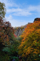 青空と紅葉に包まれた秋の自然風景