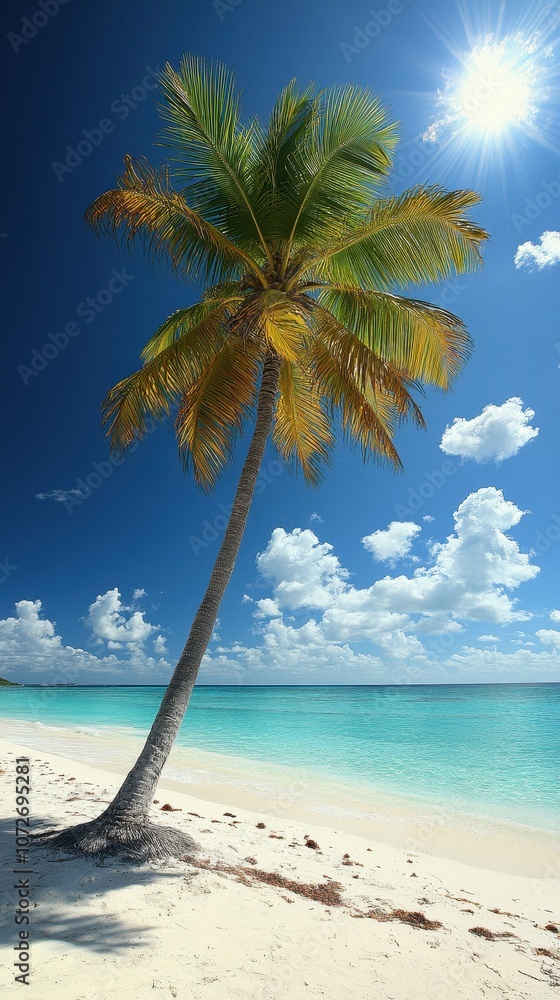 Poster a palm tree is standing on a beach with a clear blue sky above it. the palm tree is the main focus o