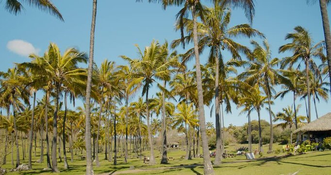Anakena Beach, Easter Island