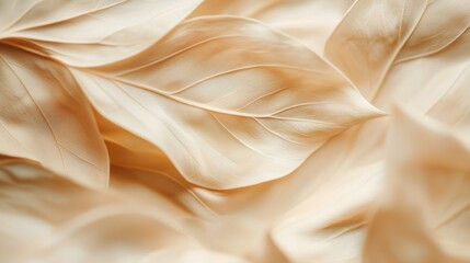 Obraz premium Soft, delicate beige leaves in gentle waves