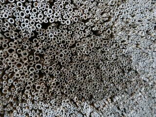 Bamboo stalks forming an abstract natural background texture