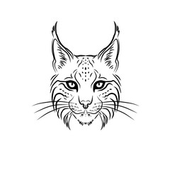 Iberian Lynx icon. Iberian Lynx The rarest animals in the world