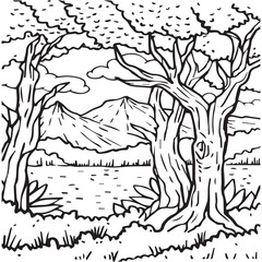 Drawing Tree Illustrations & Vectors