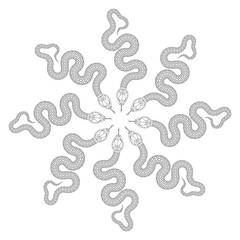 Black snake monogram on white background