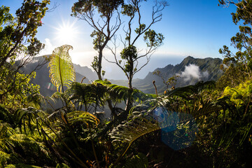 A breathtaking view from the Na Pali Coast lookout, showcasing the steep, green cliffs descending...