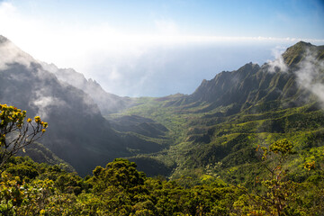 A breathtaking view from the Na Pali Coast lookout, showcasing the steep, green cliffs descending...