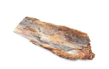 One piece of tree bark on white background