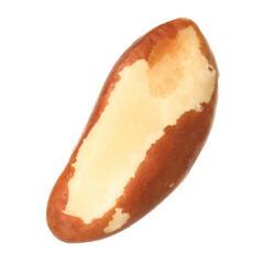 One tasty Brazil nut isolated on white