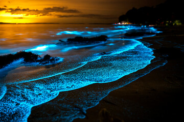 A captivating close-up of bioluminescent waves illuminating the shoreline in a serene glow, creating a magical nighttime scene.