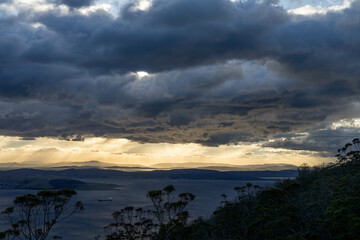 beautiful gum Trees and shrubs in the Australian bush forest. Gumtrees and native plants growing in Australia in spring. eucalyptus growing in a tall forest