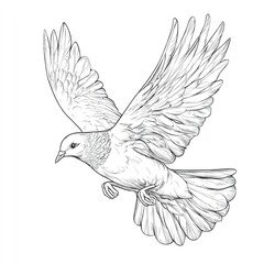 Fototapeta premium a dove flying with a letter envelope in its beak, in vector line style: