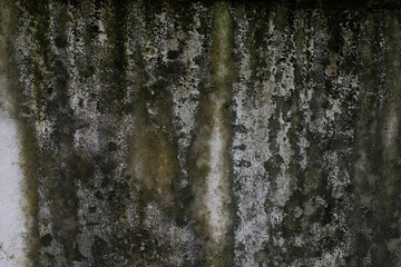 Old moldy cement wall in the background