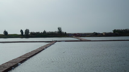Fototapeta premium a salt farm that traps seawater to make salt