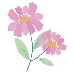 coquette Floral Groupings - Vibrant Bouquets and Blooming Gardens