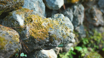 A special rock with a shape of a rhinoceros head, well almost.