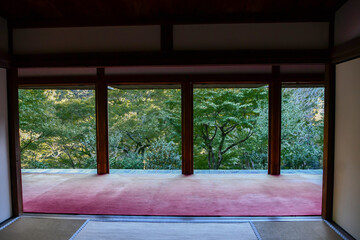 京都 栂尾山 高山寺 石水院 日本庭園