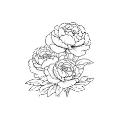 hand drawn flowers