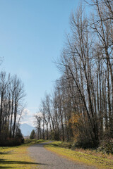 Island 22 Regional Park along Fraser River during a fall season in Chilliwack, British Columbia, Canada