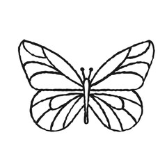butterfly