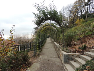 Path in the park - Autumn - Lyon - France