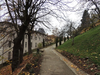Autumn in the city - Lyon - France