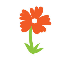 red gerber daisy
