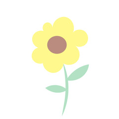 yellow sunflower
