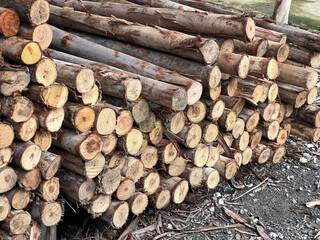pile of wood logs, wood background texture