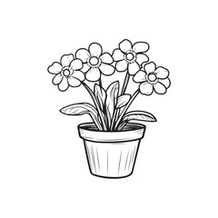 flowers in a pot