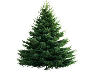 A vibrant green Christmas tree isolated on a white background, perfect for holiday themes and festive decorations, showcasing the beauty of nature's evergreen trees.