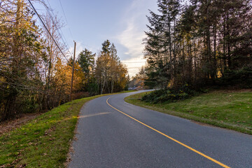 Winding Road Through Forest in Victoria Vancouver Island BC Canada
