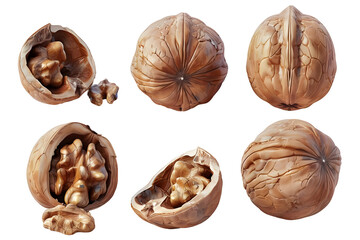 Collection set of walnuts on white background