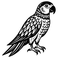 love bird vector artwork and illustration