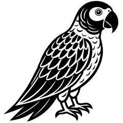 love bird vector artwork and illustration