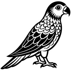 love bird vector artwork and illustration