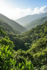 Fototapeta premium Lush Green Mountain Valley.