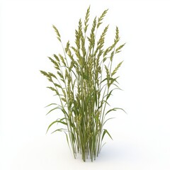 Fototapeta premium Vibrant green grass swaying in the breeze.