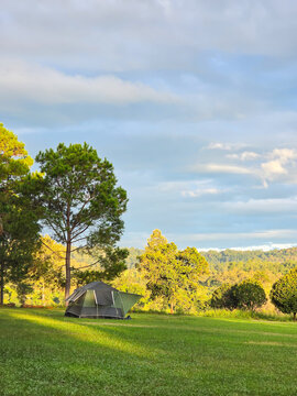 Tourist dome tent camping at forest camping site