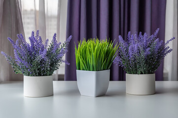 Lavender sprigs and green grass in pots on a shelf near the window.