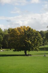A Day in the Park: Warm Sunshine and Green Surroundings