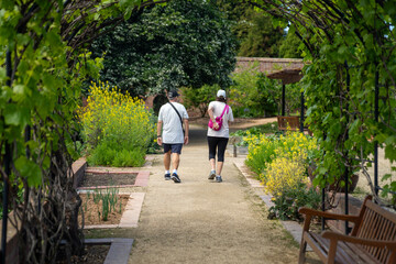 family with children exploring nature walking in botanical gardens in australia