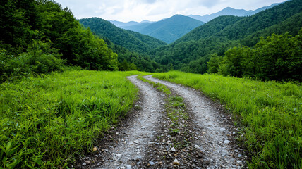 Fototapeta premium winding gravel path leads through lush green hills under cloudy sky, evoking sense of adventure and tranquility in serene landscape