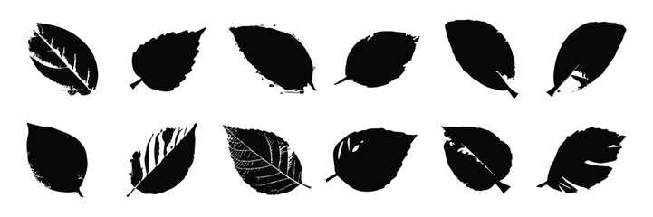 Set of black leaf icons. Eco leaves. Eco, bio sign logo. Vegeterian and vegan signs and symbols.