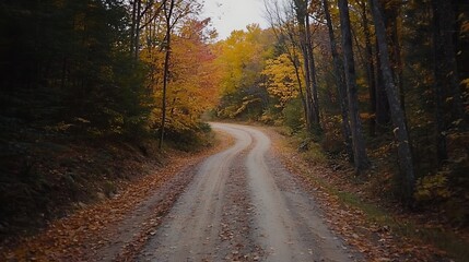 A Winding Dirt Road Through an Autumn Forest
