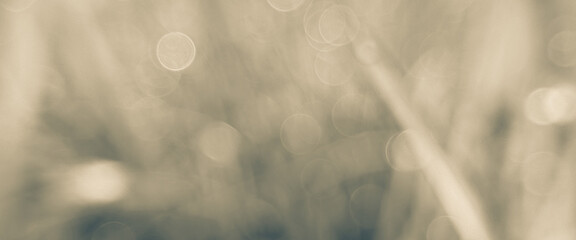 Soft, abstract background with blurred circles of light and a subtle texture. Realistic bokeh...