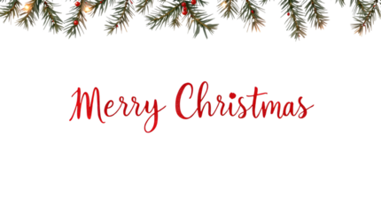 A simple and elegant Merry Christmas greeting with realistic fir branches, berries, and warm lights isolated on transparent white background, png