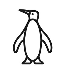penguin 