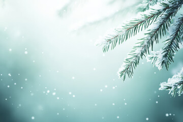 Obraz premium Snow covered evergreen branches with soft, dreamy background create serene winter atmosphere. Perfect for seasonal themes and holiday designs