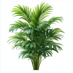 Fototapeta premium green palm bush on white background